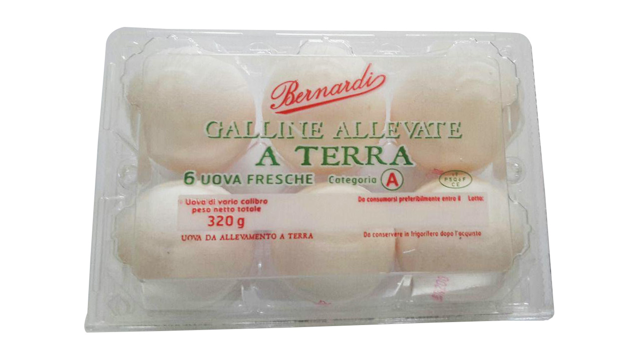livornesi