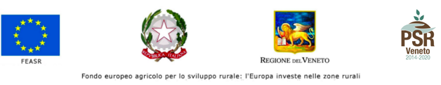 Banner_PSR_beneficiari_inline